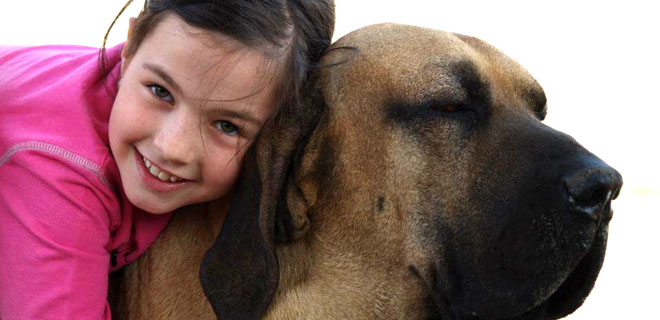 Canil Fazenda Caian - Fila Brasileiro