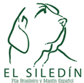 EL SILEDIN